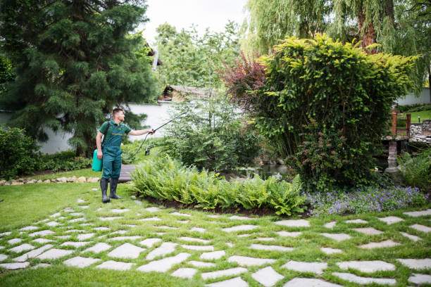 Best Pest Removal Services  in West Fargo, ND