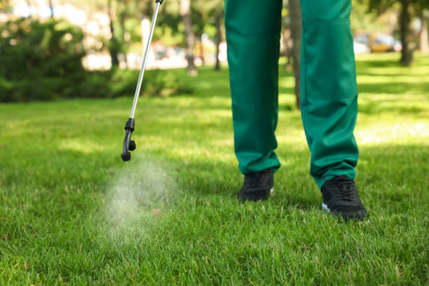 Best Pest Control Near Me in West Fargo, ND