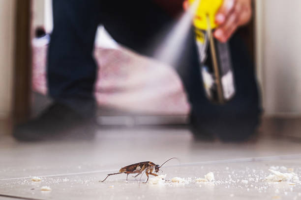 Best Commercial Pest Control Services  in West Fargo, ND